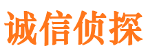 蔡甸市出轨取证